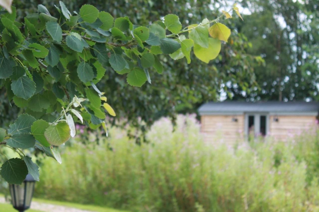 Luxury Shepherds Hut - The Sweet Pea By The Lake ヨーク エクステリア 写真